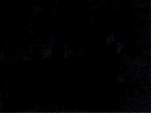 Share This Lovely Place